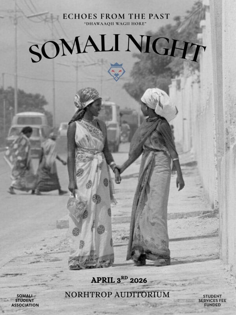 Somali Night performers